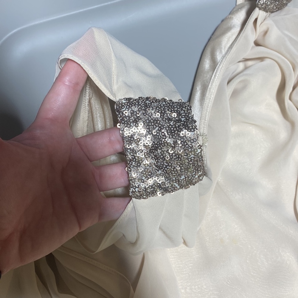 Champagne Colored Cache Dress - image 4